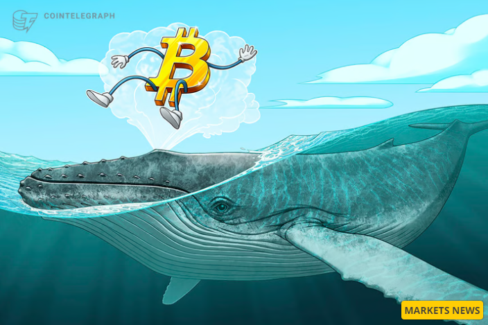 Các ngưỡng cần chú ý khi cá voi Bitcoin đẩy giá lên 42.000 USD